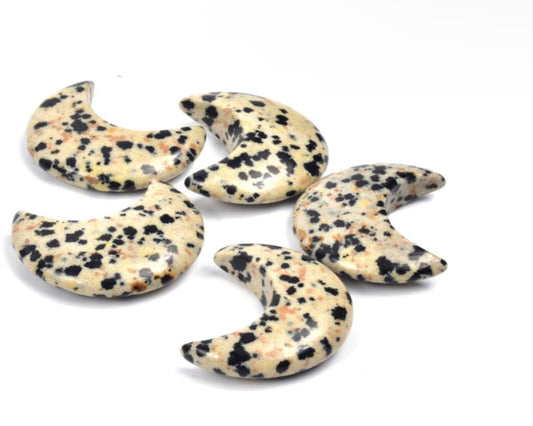 Dalmatian Jasper Moon